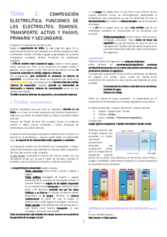 TEMA-2.pdf