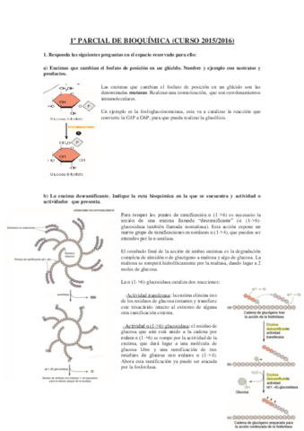 2016-1o-PARCIAL-DE-BIOQUIMICA-1.pdf