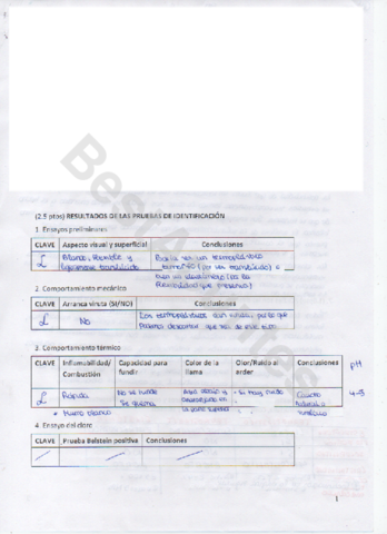 Identificacion-de-polimeros-w.pdf