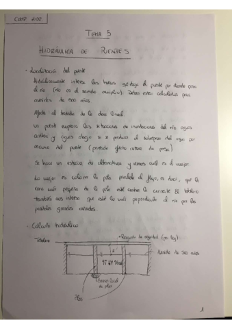 Tema-5-Hidraulica-de-Puentes.pdf