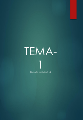 Apuntes de introducción a la economía.pdf