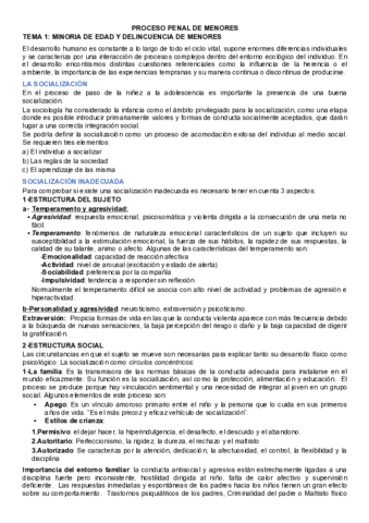 tema-1-PROCESO-PENAL-DE-MENORES.pdf