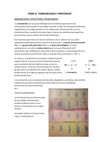 BIOQUIMICA-TEMA-4.pdf