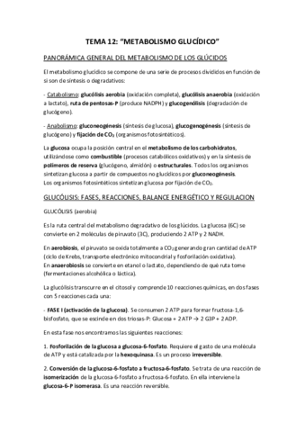 BIOQUIMICA-TEMA-12.pdf