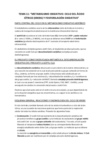 BIOQUIMICA-TEMA-11.pdf