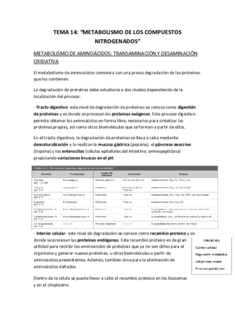 BIOQUIMICA-TEMA-14.pdf