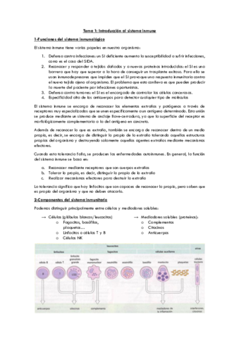 tema1introalSI.pdf