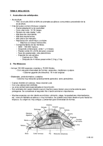 Tema-6-Biologia-Cyta-1o.pdf