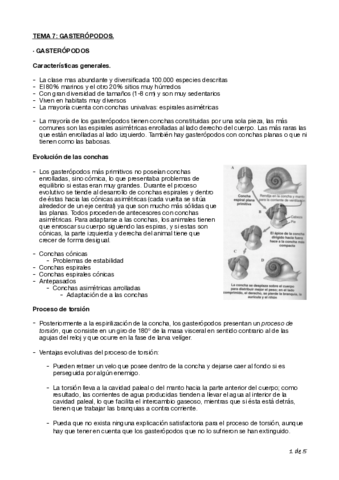 Tema-7-Biologia-Cyta-1o.pdf