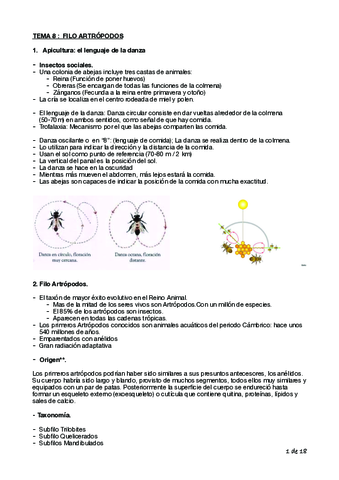 Tema-8-Biologia-Cyta-1o.pdf