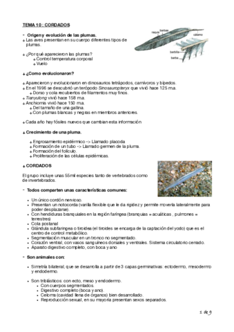 Tema-10-Biologia-Cyta-1o.pdf