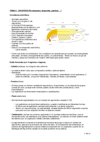 Tema-9-Biologia-Cyta-1o.pdf