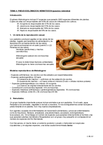 Tema-4-Biologia-Cyta-1o.pdf