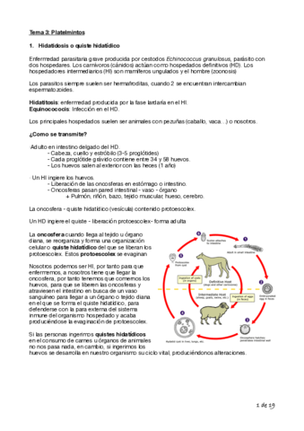 Tema-3-Bilogia-Cyta-1o.pdf