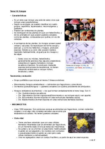 Tema-14-Biologia-Cyta-1o.pdf