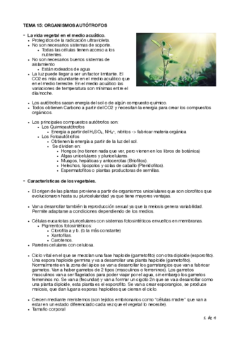 Tema-15-Biologia-Cyta-1o.pdf