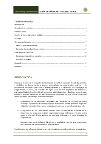 Guion-Practica-1-Entorno-Tipos.pdf