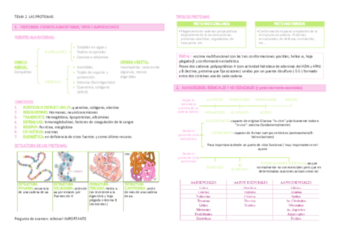 TEMA 2. Las proteinas.pdf