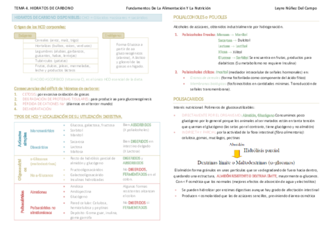 TEMA 4. Hidratos de Carbono.pdf