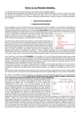 TEMA 15.pdf