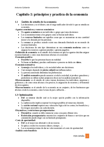 Apuntes-microeconomia.pdf