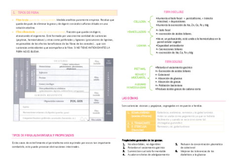 TEMA 5. La fibra alimentaria.pdf