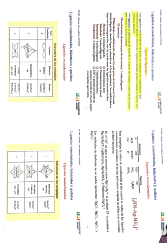 Tema-3-complejos-metalicos-.pdf