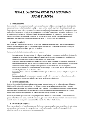 TEMAs.pdf