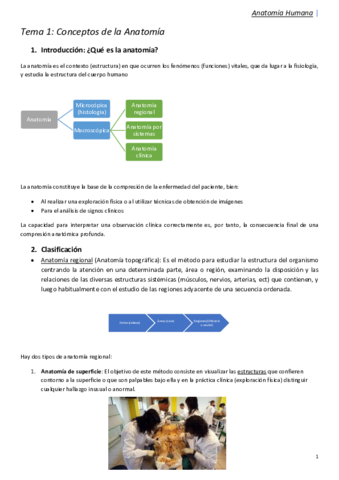 Tema-1-anatomia-convertido-1.pdf