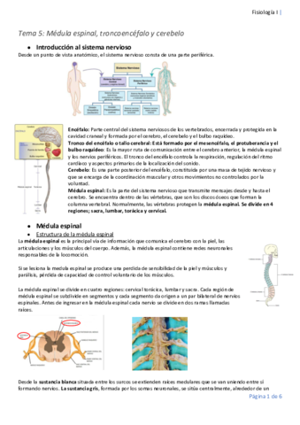 Tema-5-fisiologia-convertido.pdf