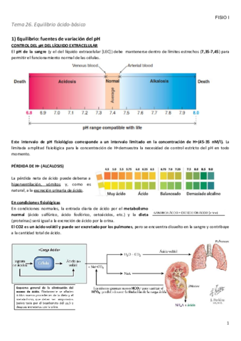 Tema-26.pdf