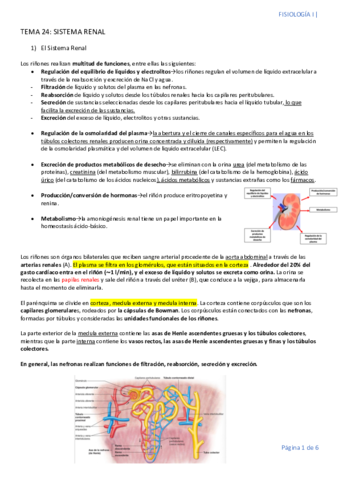 TEMA-24-SISTEMA-RENAL.pdf