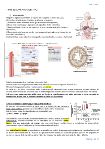 Tema-22.pdf