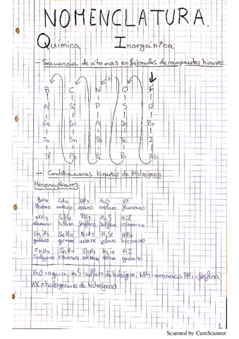 CMQI-Formulacion.pdf