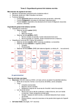 Tema 2 - Organització general del sistema nerviós.pdf