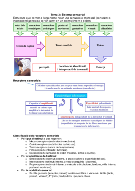 Tema 3 - Sistema sensorial.pdf