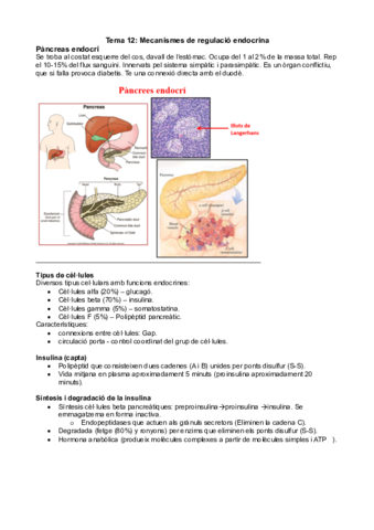 Tema 12 - Mecanismes de regulació endocrina.pdf