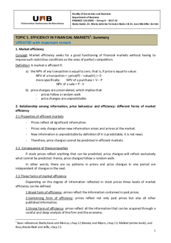 T51MarketefficiencySummaryUPDATED2-2.pdf