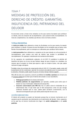 Tema 7. Medidas de protección del derecho de crédito.pdf