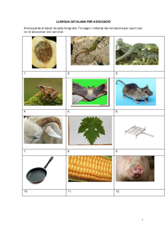 practicalexic02solucionari.pdf