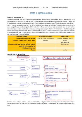 BEBIDAS-p1.pdf