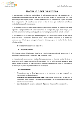 PRACTICA-17-BALONCESTO.pdf