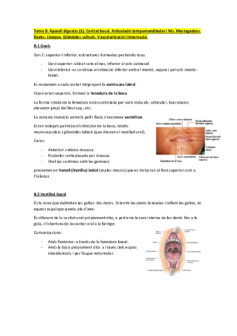 Apuntes-anatomia-2.pdf