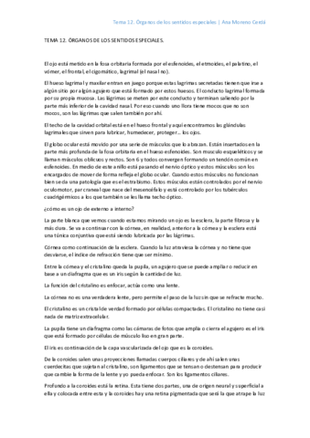 Organos-sentidos.pdf