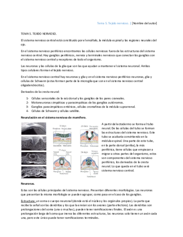 5-Tejido-nervioso.pdf
