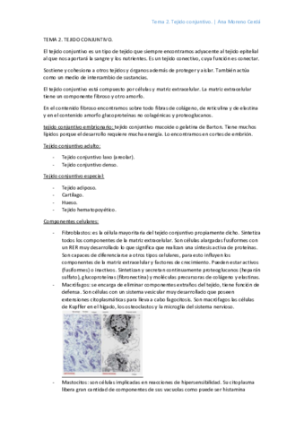 2-Tejido-conjuntivo.pdf