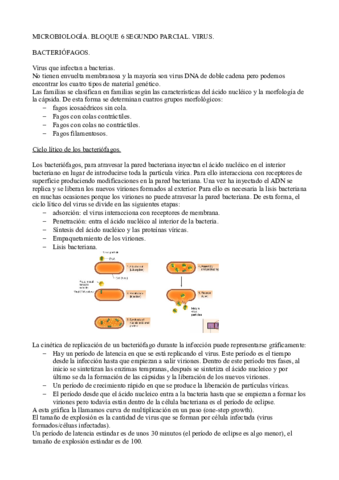BLOQUE-6-APUNTES-2.pdf