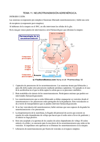 Farmacologia-de-la-neurotransmision.pdf