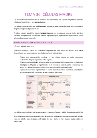 TEMA-36-CELULAS-MADRE.pdf