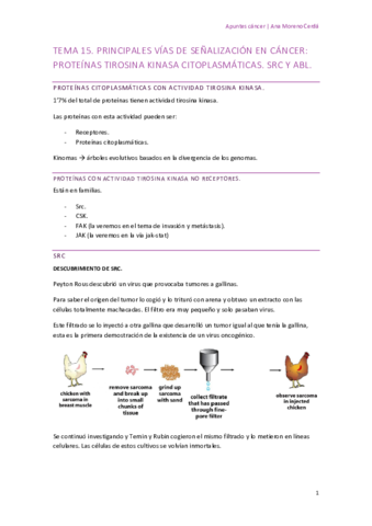 TEMAS-15-21.pdf